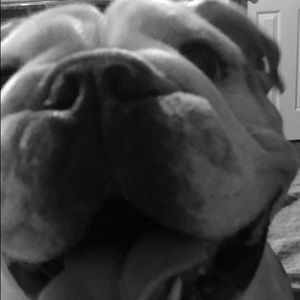 Meet your Posher, Tammy